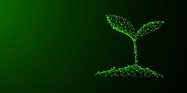 Green Impact