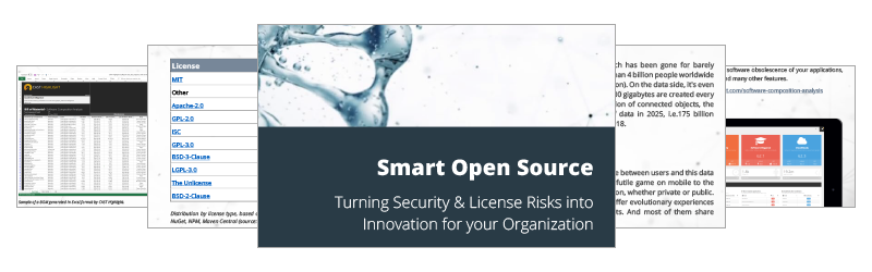 Smart Open Source: Turn Security & License Risks into Innovation