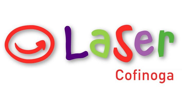 Software Analysis and Measurement at LaSer Cofinoga