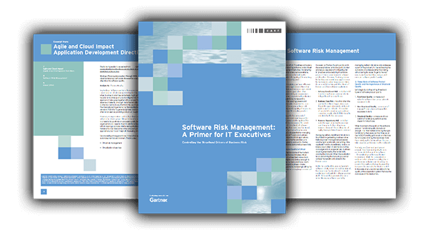 Gartner Research: Software Risk Management: A Primer For IT Executives